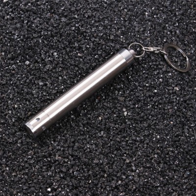 Silver Penlight with Keyring